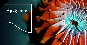 DLA Piper Logo